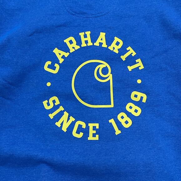 Carhartt 106388 Rain Defender® Loose Fit Midweight Hoodie Sweater Size 3XL B4 - Picture 2 of 7